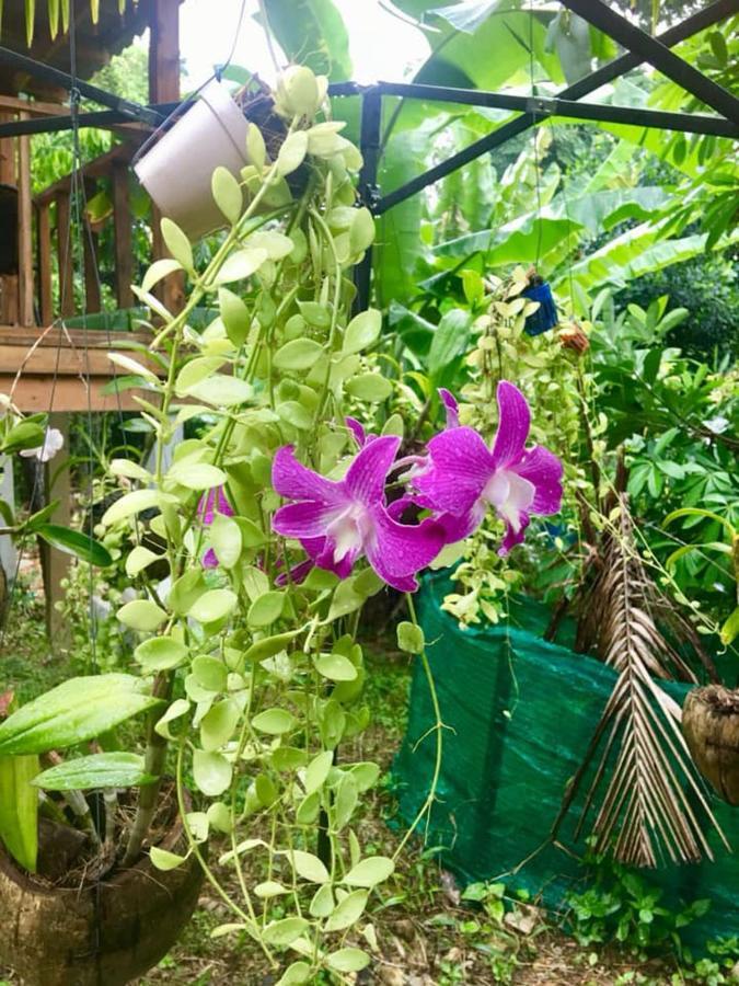 Отель Lanta A Toi House Ко-Ланта Экстерьер фото