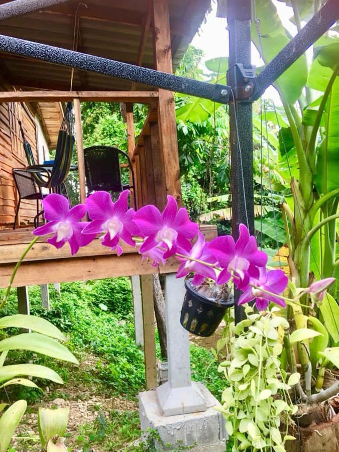 Отель Lanta A Toi House Ко-Ланта Экстерьер фото