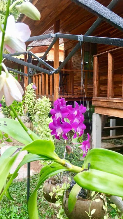 Отель Lanta A Toi House Ко-Ланта Экстерьер фото